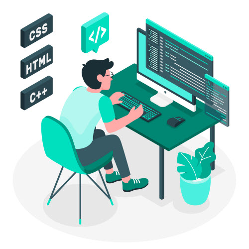 Custom Web Development